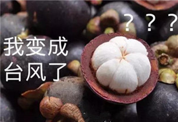 “山竹”還未走遠(yuǎn)，但貝朗全自動彎線機(jī)已正常上班啦！